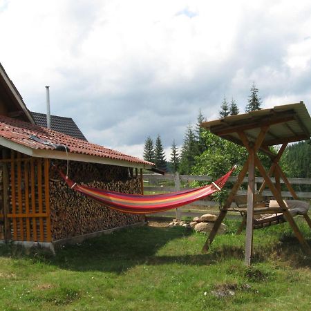 Podina Guest House Poiana Horea Eksteriør billede