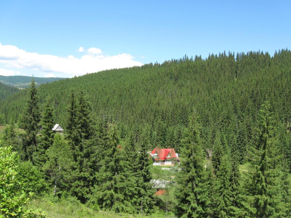 Podina Guest House Poiana Horea Eksteriør billede