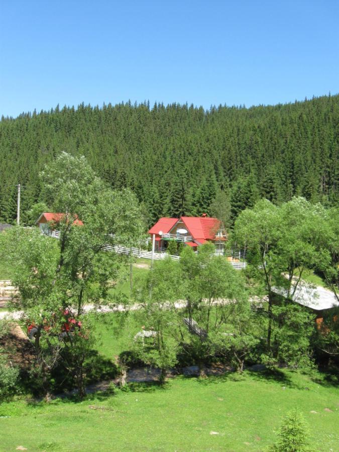 Podina Guest House Poiana Horea Eksteriør billede