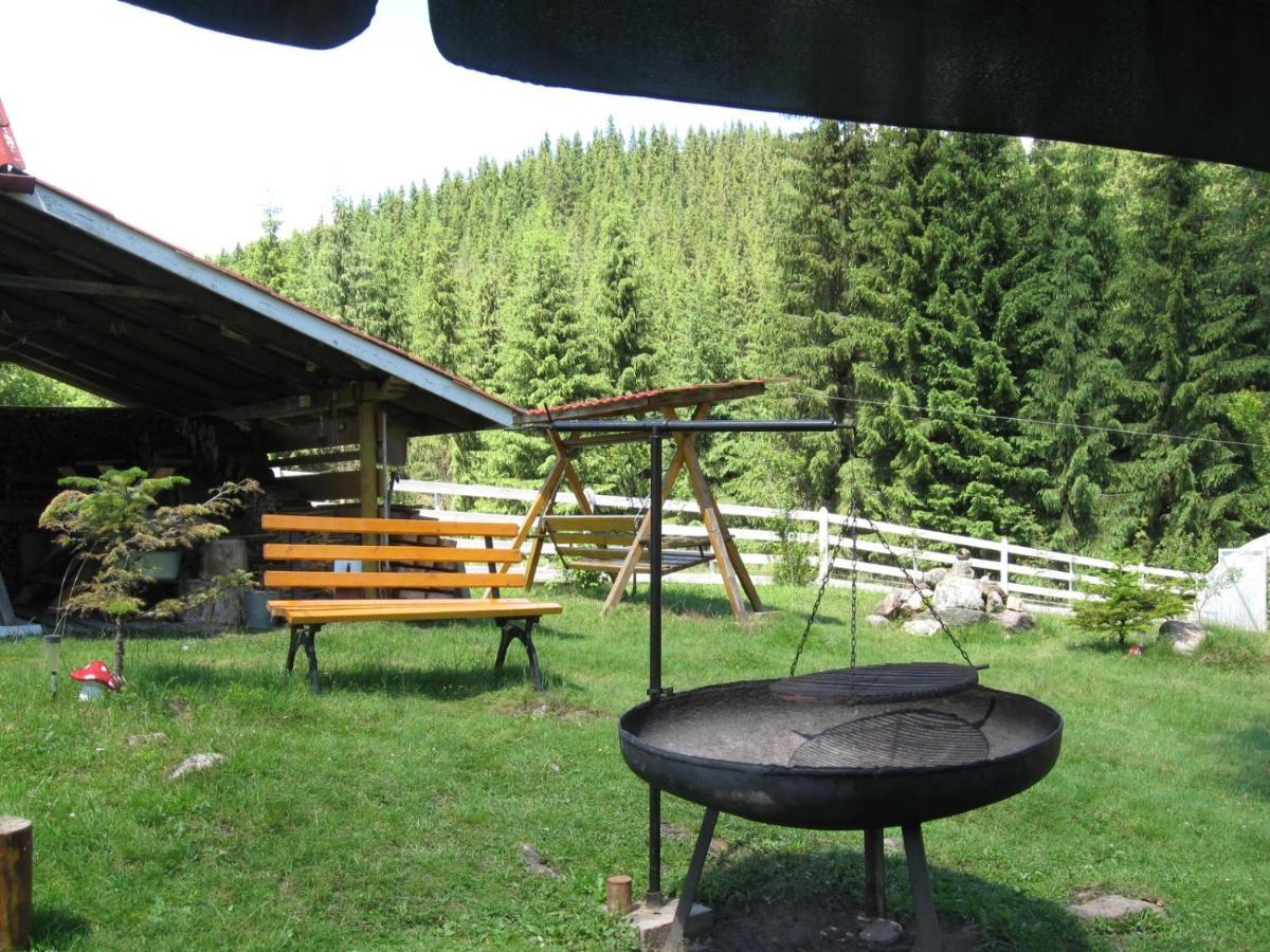 Podina Guest House Poiana Horea Eksteriør billede